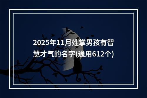 2025年11月姓掌男孩有智慧才气的名字(通用612个)