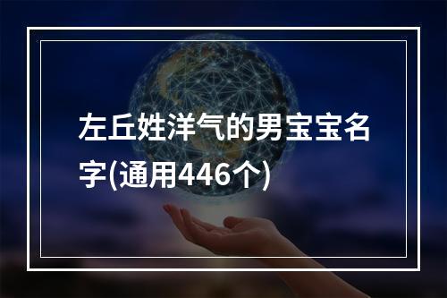 左丘姓洋气的男宝宝名字(通用446个)