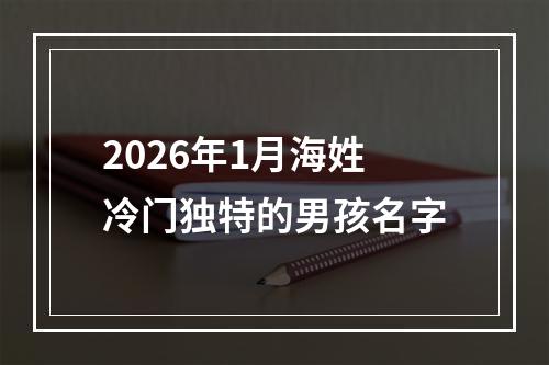 2026年1月海姓冷门独特的男孩名字
