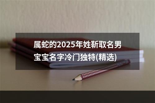 属蛇的2025年姓靳取名男宝宝名字冷门独特(精选)
