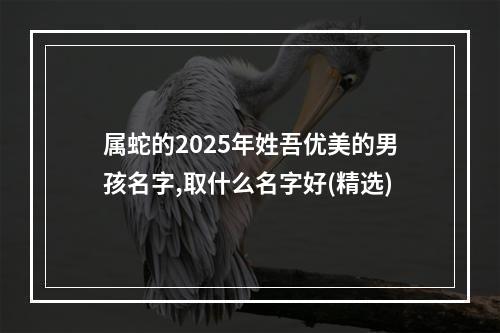 属蛇的2025年姓吾优美的男孩名字,取什么名字好(精选)