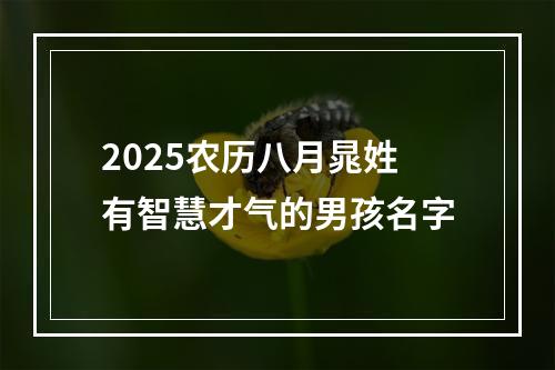 2025农历八月晁姓有智慧才气的男孩名字