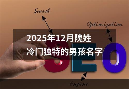 2025年12月隗姓冷门独特的男孩名字