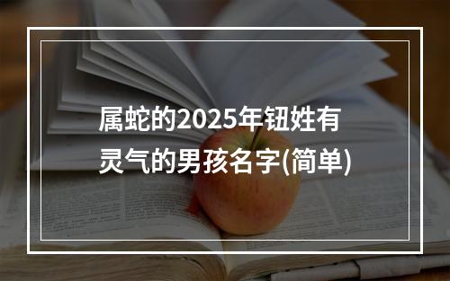 属蛇的2025年钮姓有灵气的男孩名字(简单)