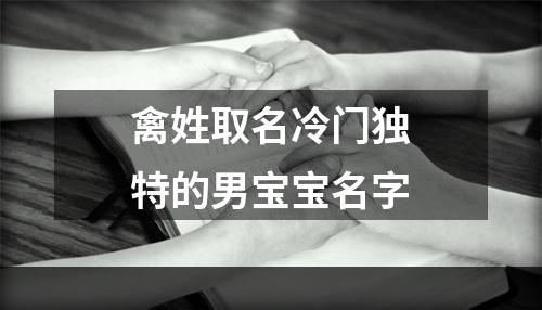 禽姓取名冷门独特的男宝宝名字