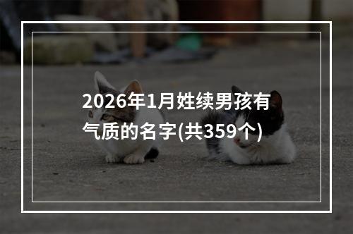 2026年1月姓续男孩有气质的名字(共359个)