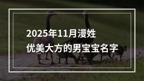 2025年11月漫姓优美大方的男宝宝名字