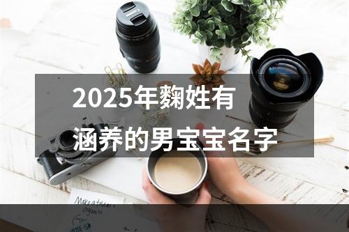 2025年麴姓有涵养的男宝宝名字