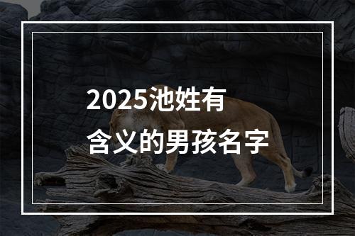 2025池姓有含义的男孩名字