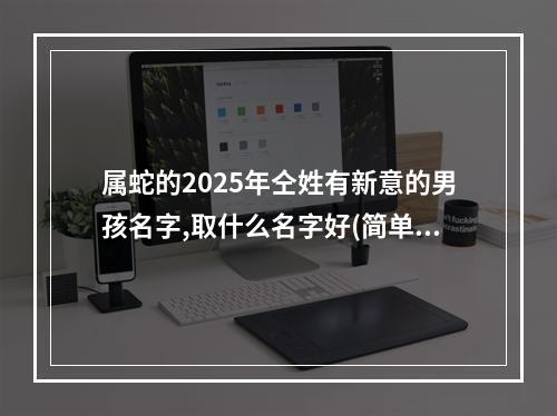 属蛇的2025年仝姓有新意的男孩名字,取什么名字好(简单)