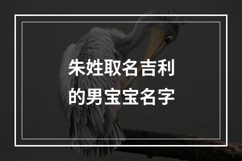 朱姓取名吉利的男宝宝名字