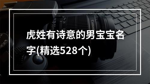 虎姓有诗意的男宝宝名字(精选528个)