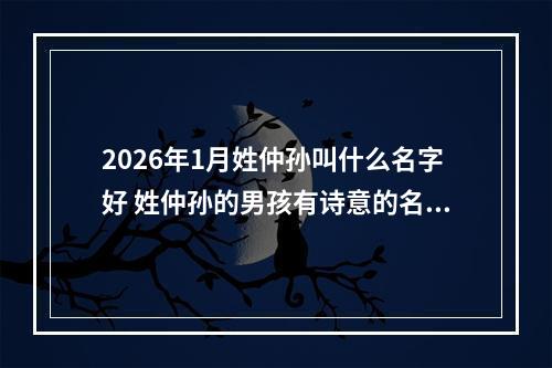 2026年1月姓仲孙叫什么名字好 姓仲孙的男孩有诗意的名字