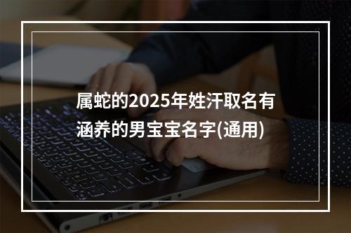 属蛇的2025年姓汗取名有涵养的男宝宝名字(通用)