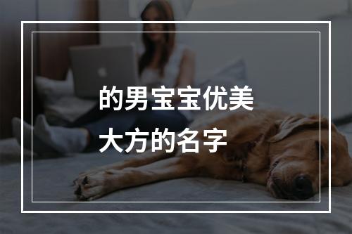 的男宝宝优美大方的名字