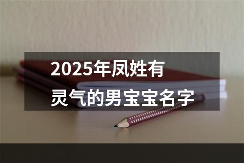 2025年凤姓有灵气的男宝宝名字