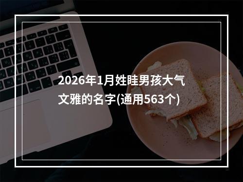 2026年1月姓眭男孩大气文雅的名字(通用563个)