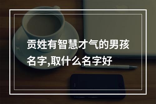 贡姓有智慧才气的男孩名字,取什么名字好
