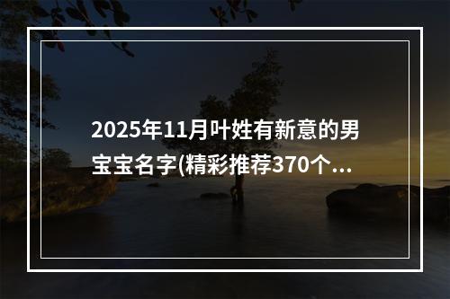 2025年11月叶姓有新意的男宝宝名字(精彩推荐370个)