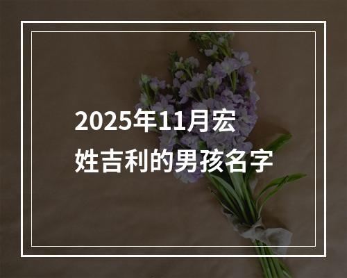 2025年11月宏姓吉利的男孩名字