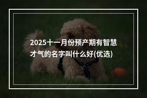 2025十一月份预产期有智慧才气的名字叫什么好(优选)