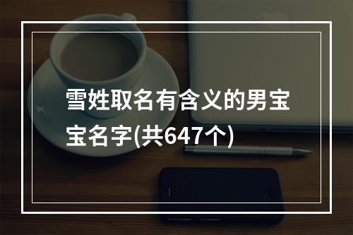 雪姓取名有含义的男宝宝名字(共647个)