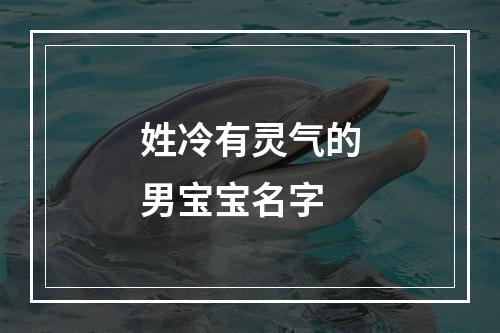姓冷有灵气的男宝宝名字