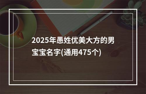2025年愚姓优美大方的男宝宝名字(通用475个)