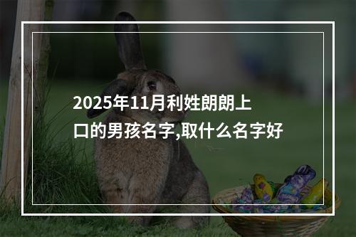 2025年11月利姓朗朗上口的男孩名字,取什么名字好