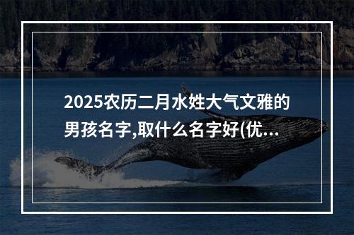 2025农历二月水姓大气文雅的男孩名字,取什么名字好(优选)