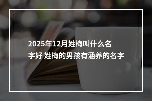 2025年12月姓梅叫什么名字好 姓梅的男孩有涵养的名字