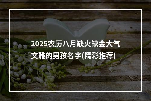 2025农历八月缺火缺金大气文雅的男孩名字(精彩推荐)