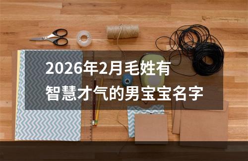 2026年2月毛姓有智慧才气的男宝宝名字