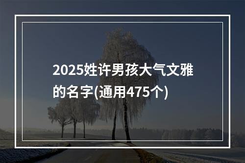 2025姓许男孩大气文雅的名字(通用475个)