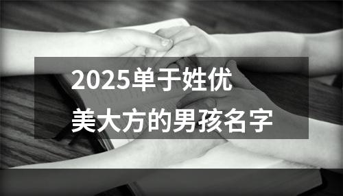 2025单于姓优美大方的男孩名字