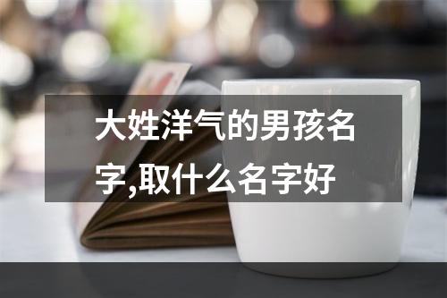 大姓洋气的男孩名字,取什么名字好