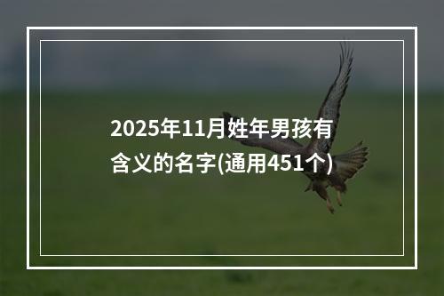 2025年11月姓年男孩有含义的名字(通用451个)