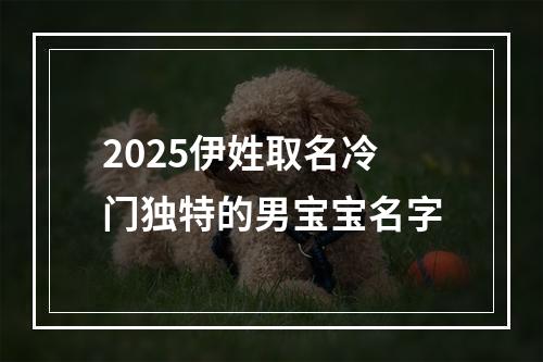 2025伊姓取名冷门独特的男宝宝名字