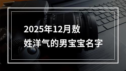 2025年12月敖姓洋气的男宝宝名字