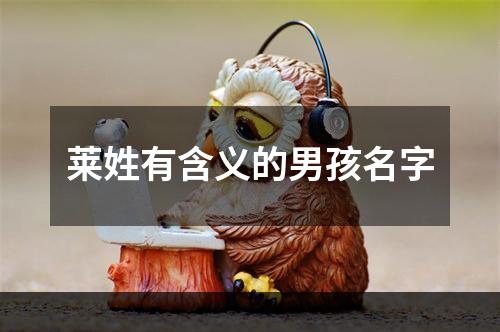 莱姓有含义的男孩名字