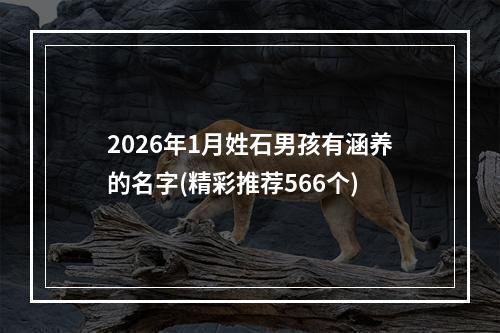 2026年1月姓石男孩有涵养的名字(精彩推荐566个)