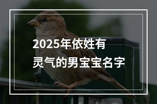 2025年依姓有灵气的男宝宝名字