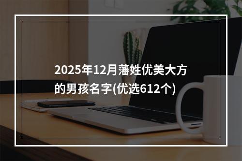2025年12月藩姓优美大方的男孩名字(优选612个)