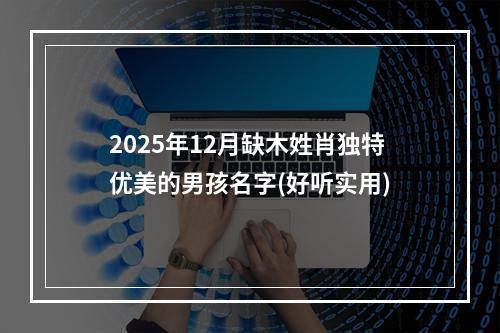 2025年12月缺木姓肖独特优美的男孩名字(好听实用)
