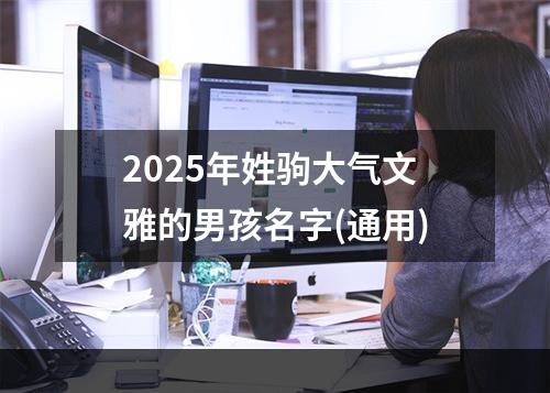 2025年姓驹大气文雅的男孩名字(通用)
