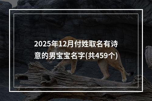 2025年12月付姓取名有诗意的男宝宝名字(共459个)