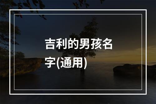 吉利的男孩名字(通用)
