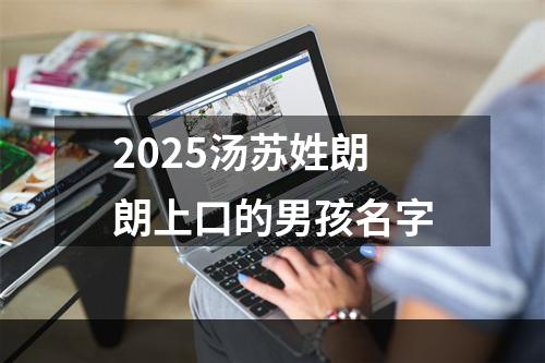 2025汤苏姓朗朗上口的男孩名字