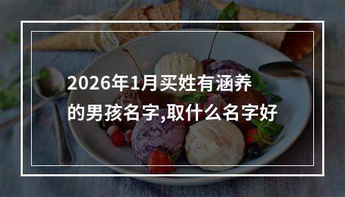 2026年1月买姓有涵养的男孩名字,取什么名字好
