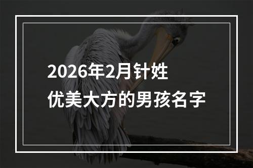 2026年2月针姓优美大方的男孩名字